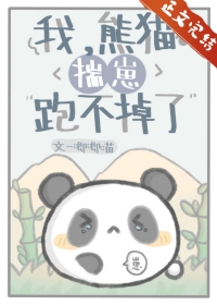 我，熊猫，揣崽跑不掉了小说封面